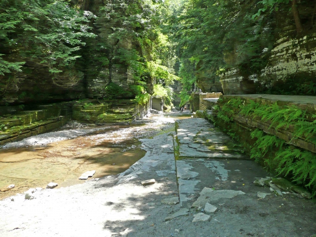 Enfield Gorge Trail